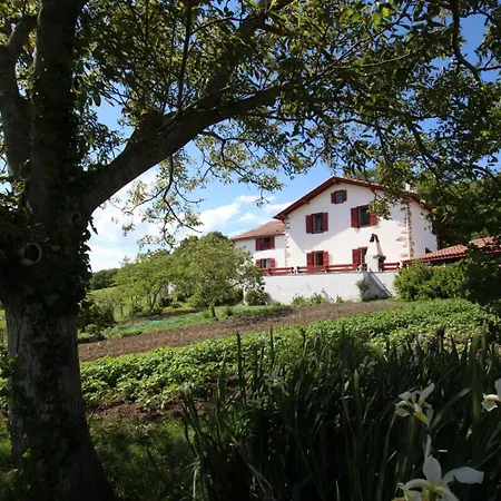 Zamatelua 2 *